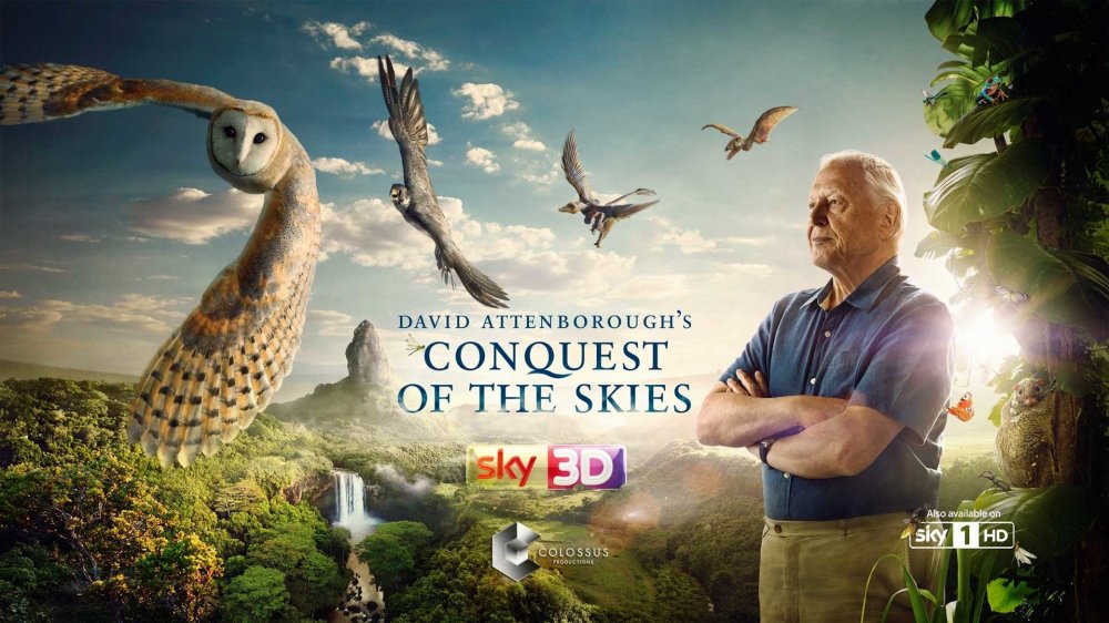 Chinh Phục Bầu Trời - David Attenborough's Conquest Of The Skies